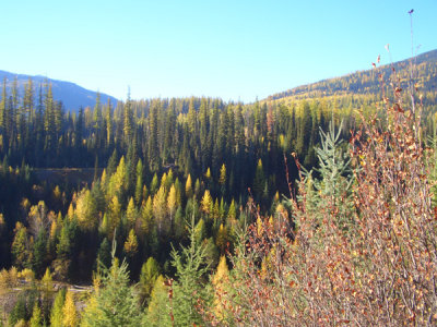 MONT5663.JPG