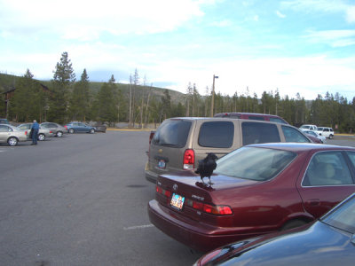 MONT5736.JPG