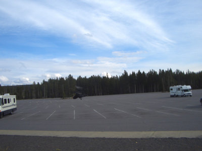 MONT5738.JPG