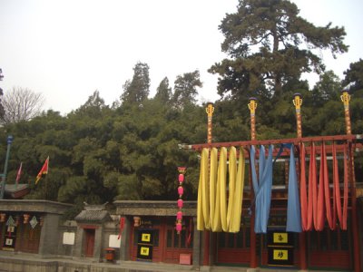 CHNA6130.JPG