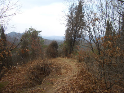CHNA6269.JPG