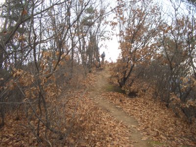 CHNA6275.JPG