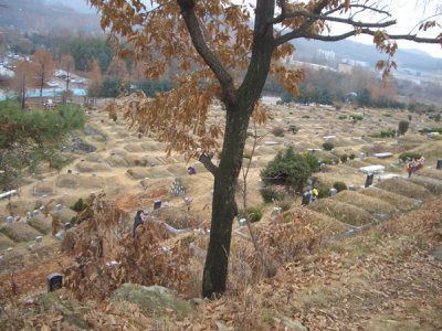 CHNA6283.JPG
