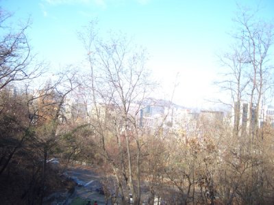 CHNA6313.JPG