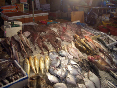 CHNA6649.JPG