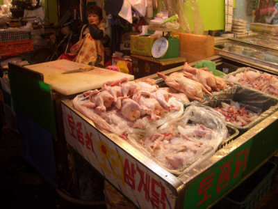 CHNA6658.JPG