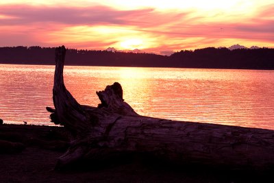 Mukilteo Sunset.jpg