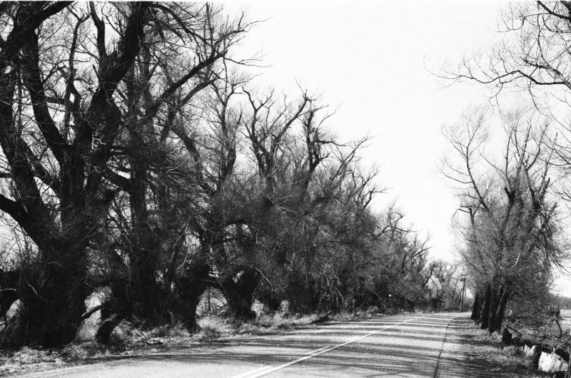 Long Point Causeway