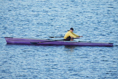 Rowing on the Harbour