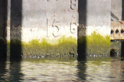 Shipyards Dry Dock Water Level Oct 2, 2012 at 1500