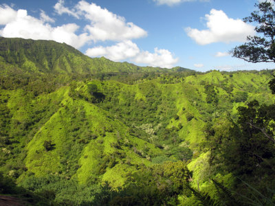 Kauai Valley