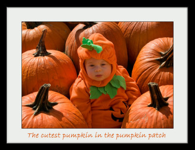 The cutest pumpkin in the pumpkin patch