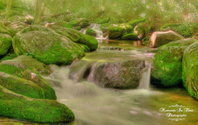 Smoky Mountain Waterfalls