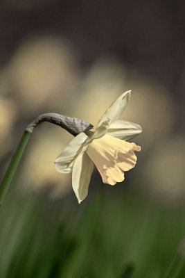 CRW_6428.jpg