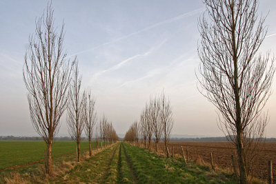 CRW_6437-h.jpg