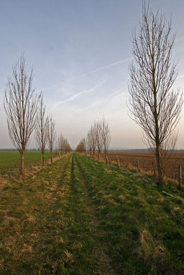CRW_6437-v.jpg