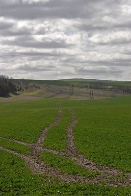 CRW_6452.jpg