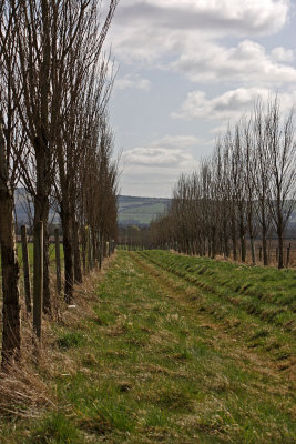 CRW_6459.jpg