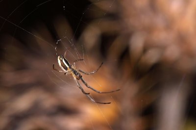 IMG_1778.jpg