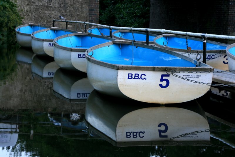 July 2 2010:<br> BBC5