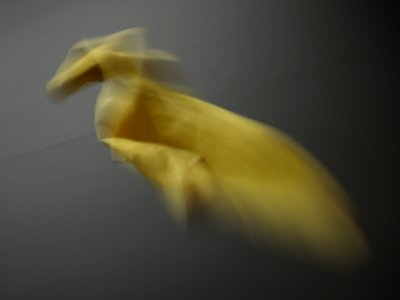 October 2 2008: Yellowbird