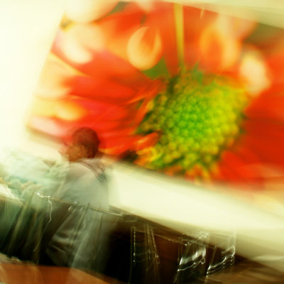 December 8 2008:  Flower Blur