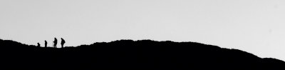 January 1 2009: Topping