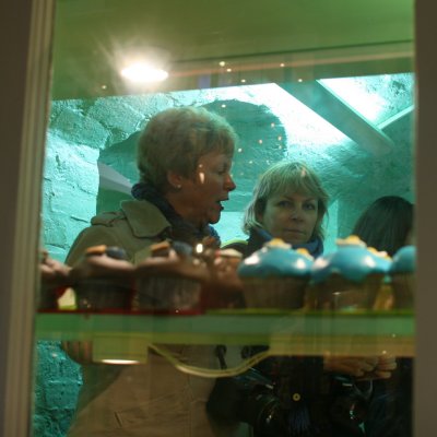 Caught in the Cake Shop! 