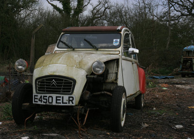 g1/50/48650/3/111306934.delgW99d.jpg