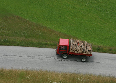 Wood Carrier