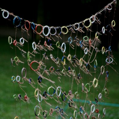June 20 2010: Rings