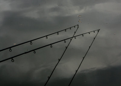 August 5 2010: Line