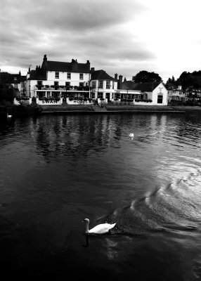 August 9 2010: The Swan Hotel