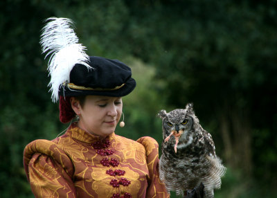 September 11 2010: Tudor Falconry