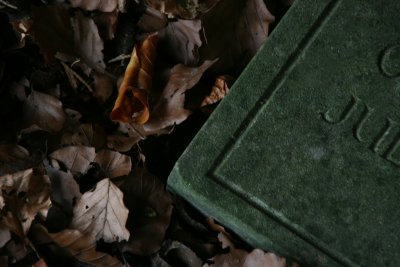 October 13 2010: The Autumn