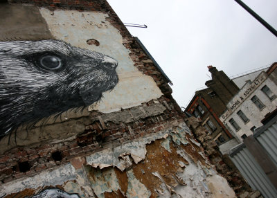October 15 2010: ROA