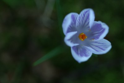 February 8 2008: Reaching Up
