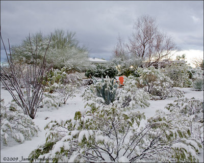 Snow in Vail, AZ