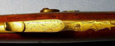 Bottom View Tigger Guard