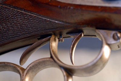 Detail of Hinged Trigger Guard and Trigger Unset
