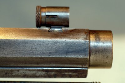 Front Sight and Muzzle Detail