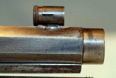 Front Sight and Muzzle Detail