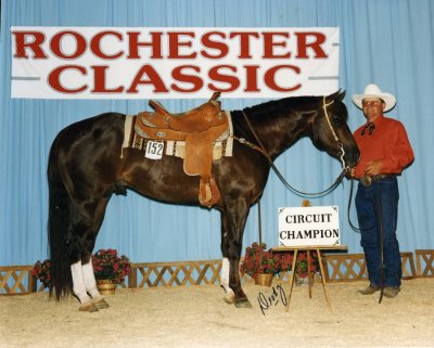 Elvis at the Rochester Classic
