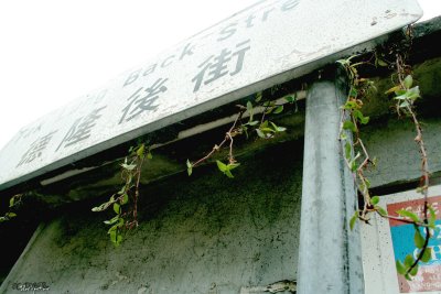20081001-048.jpg