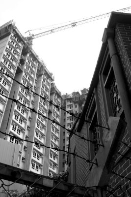 20081001-091.jpg
