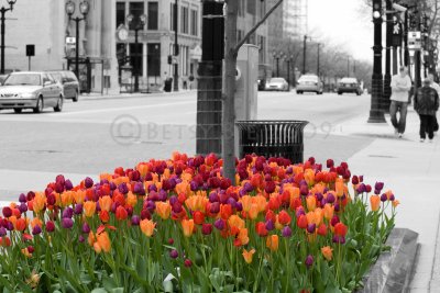 IMG_5195_ebw.jpg