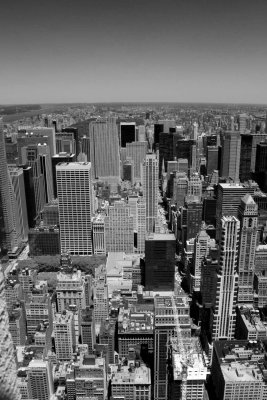 Views from the Empire State Building