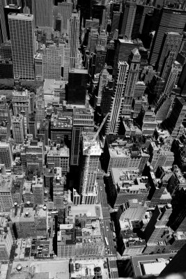 Views from the Empire State Building