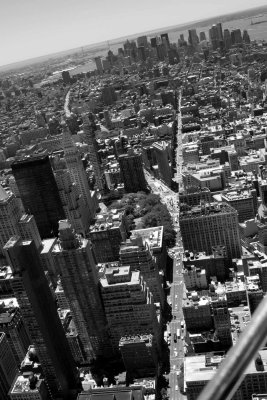 Views from the Empire State Building