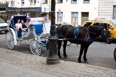 Me and Lori in our hansom carriage, Central Park, NYC